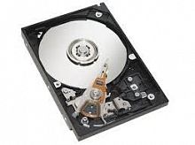 396614-001 Hewlett Packard 300GB SCSI Hard Drives (396614-001)